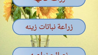 الصورة 0 لـ 