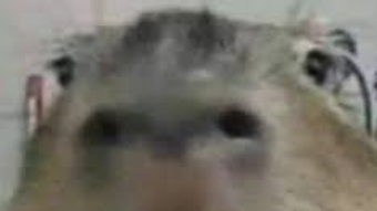 الصورة 0 لـ 
