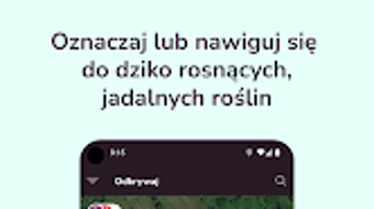 의 이미지 0