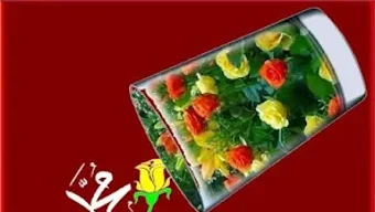 الصورة 0 لـ 