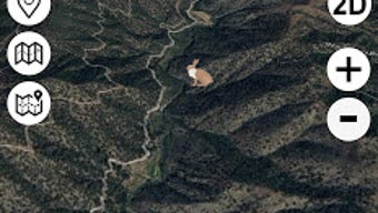 Image 0 for 