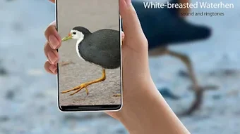 Obraz 0 dla 