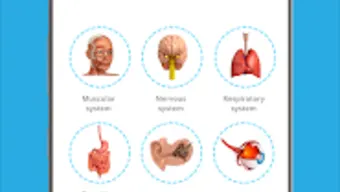 Human Anatomy Learning - 3D