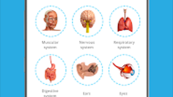 Human Anatomy Learning - 3D