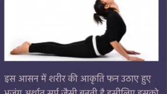 Daily Yoga Asana Tips In Hindi : Free Weight Loss