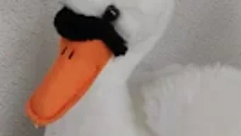 の画像0