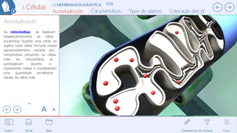 Imagem 0 para 