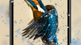 الصورة 0 لـ 