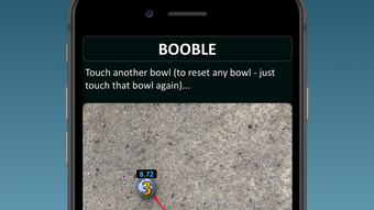 Booble for petanque game