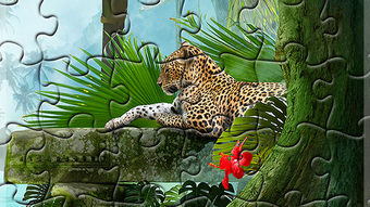  için 0 numaralı resim