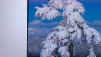  için 0 numaralı resim