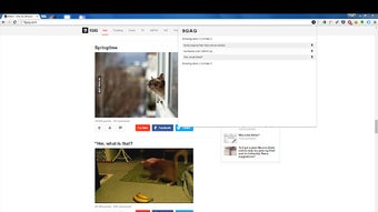 Image 0 for 