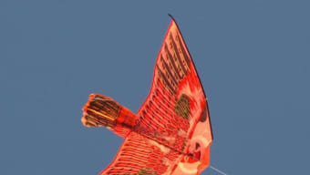 Free Kite fly Screensaver