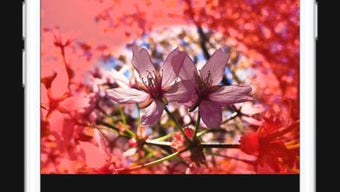 Imagem 0 para 
