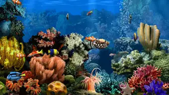 Living Marine Aquarium 2 Screensaver
