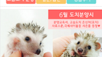 의 이미지 0