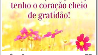 Imagem 0 para 