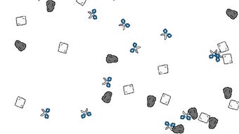 Bild 0 för 