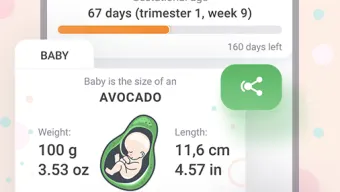 Pregnancy tracker week by week countdown