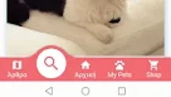 的第0张图片