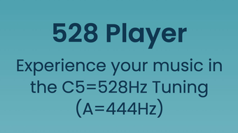 528 Player