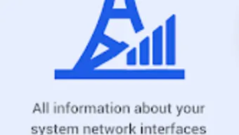 Netstat Network Interface Info