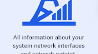 Netstat Network Interface Info