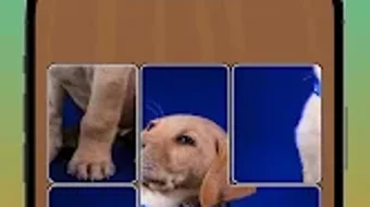 รูปภาพ 0 สำหรับ 