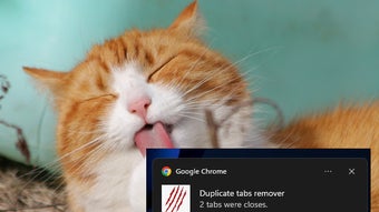 الصورة 0 لـ 