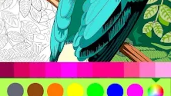 Birds Coloring Art Book