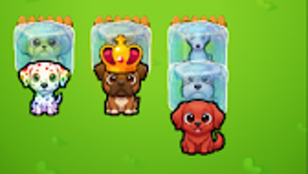 รูปภาพ 0 สำหรับ 