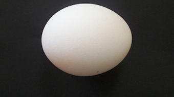 の画像0