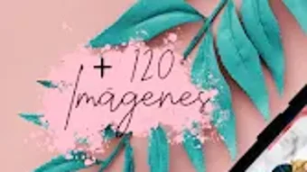  için 0 numaralı resim