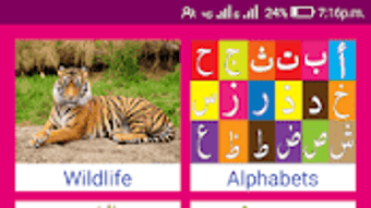 الصورة 0 لـ 