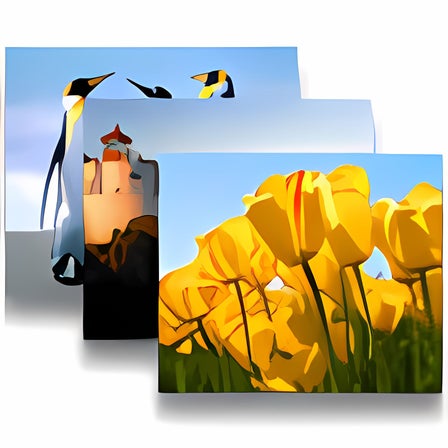 BioniX Desktop Wallpaper Changer - Download