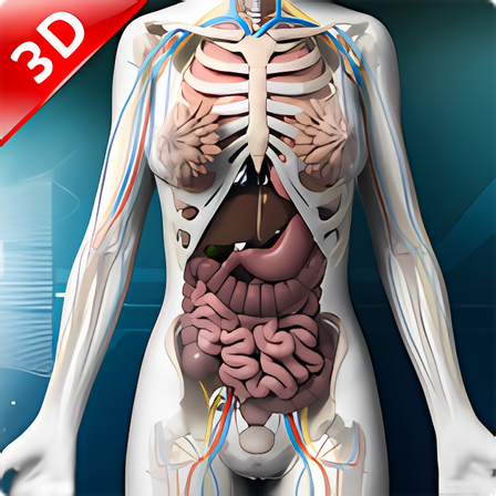 Anatomy Learning - 3D Atlas APK for Android - Download