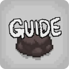 Unofficial Guide for BoI