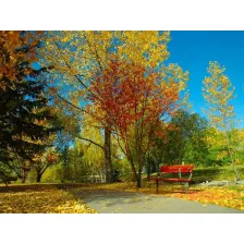 Autumnal Colors Free Screensaver