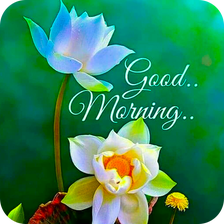 Good Morning GIF