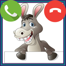 Donkey Fake Video Call  Chat