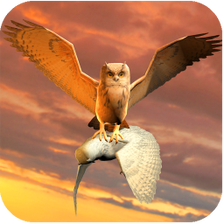 Clan of Owl