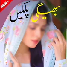 Bheegi palkein Romantic urdu Novel Book New story