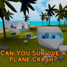 Can You Survive a Plane Crash