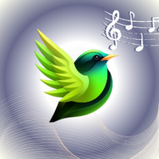 Birds ringtones birds sound