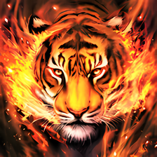 Tiger iPhone Wallpaper - Wallpapers Download 2024