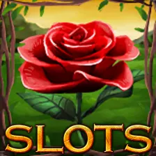 Slots 2016:Casino Slot Machine