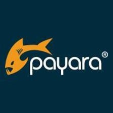 Icono de programa: Payara Enterprise
