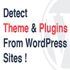 Detect WordPress themes & plugins