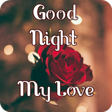 Good Night My Love