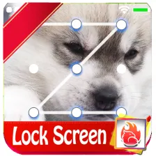 Husky Puppy HD Free Lockscreen PIN PATTERN 2019